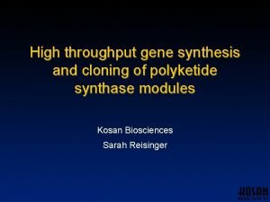 High throughput gene synthesis and cloning of polyketide
