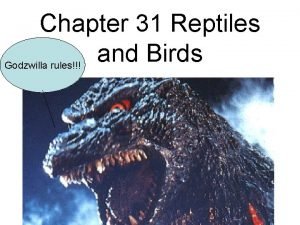 Chapter 31 reptiles and birds