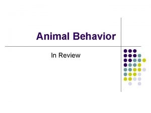 Animal Behavior In Review Nature versus Nurture l