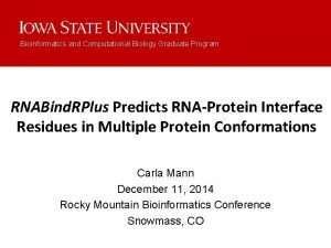 Bioinformatics and Computational Biology Graduate Program RNABind RPlus