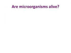 Are microorganisms alive What do you think microorganisms