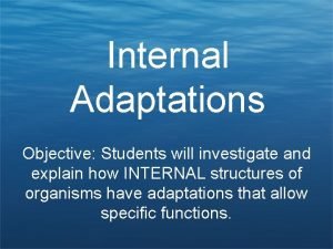 Internal adaptations examples