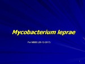 Mycobacterium leprae For MBBS 05 12 2017 1