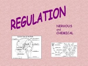 NERVOUS and CHEMICAL REGULATION 1 Organisms must respond