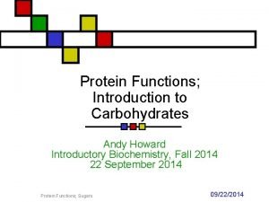 Protein Functions Introduction to Carbohydrates Andy Howard Introductory