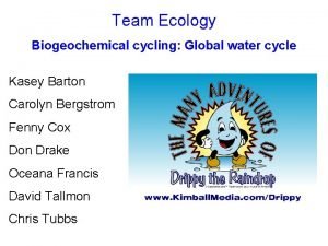 Biogeochemical cycles of water