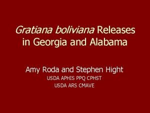 Gratiana boliviana Releases in Georgia and Alabama Amy