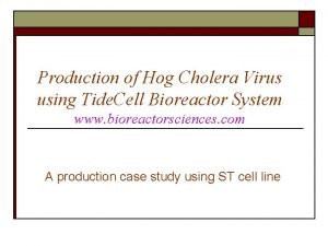 Production of Hog Cholera Virus using Tide Cell