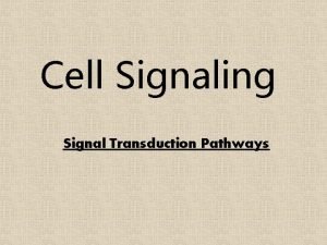 Cell Signaling Signal Transduction Pathways Cellular Signaling Autocrine