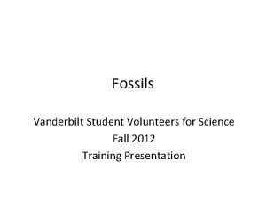 Fossils Vanderbilt Student Volunteers for Science Fall 2012