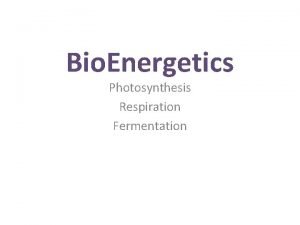 Bio Energetics Photosynthesis Respiration Fermentation WarmUp What is
