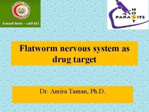Flatworm nervous system as drug target Dr Amira