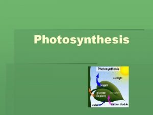Photosynthesis Photosynthesis Equation CO 2 H 2 O