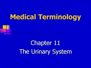 Chapter 11 medical terminology