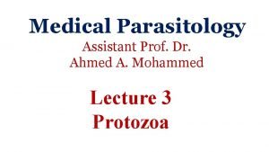 Medical Parasitology Assistant Prof Dr Ahmed A Mohammed