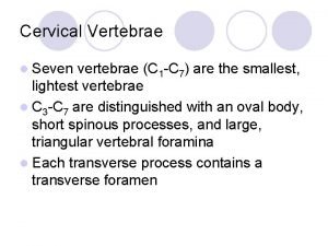 Cervical Vertebrae l Seven vertebrae C 1 C
