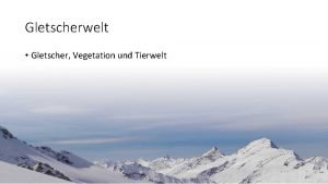 Gletscherwelt Gletscher Vegetation und Tierwelt Gletscherzunge Die Gletscherzunge