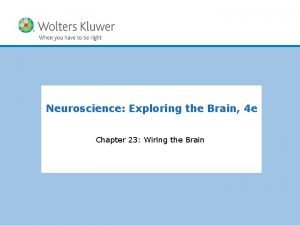 Neuroscience Exploring the Brain 4 e Chapter 23