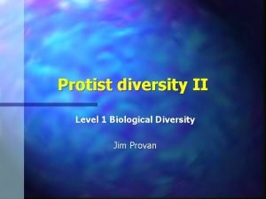 Protist diversity II Level 1 Biological Diversity Jim
