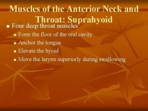 Muscles of the anterior neck and throat