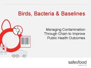 Birds Bacteria Baselines Managing Contamination Through Chain to