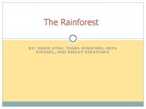 The Rainforest BY MARIE KING TEGAN STANFORD ERIN