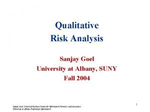 Qualitative Risk Analysis Sanjay Goel University at Albany