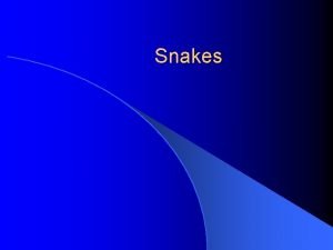 Snakes What is a snake l It is