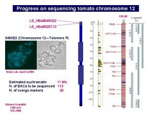 Progress on sequencing tomato chromosome 12 LEHBa 0045