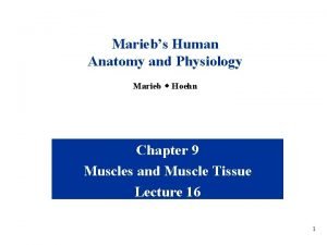 Mariebs Human Anatomy and Physiology Marieb w Hoehn