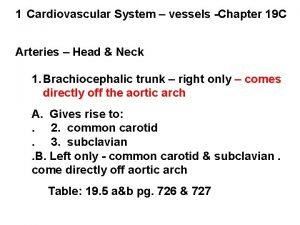 1 Cardiovascular System vessels Chapter 19 C Arteries