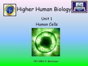 Higher Human Biology Unit 1 Human Cells KEY