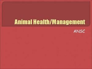 Animal HealthManagement ANSC Objectives Define basic animal health