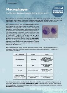 MACROPHAGES CATEGORY CELLS Macrophages Jos Ignacio Saldana Imperial