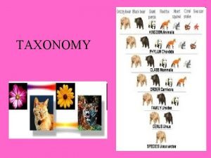 Taxonomy is the branch of science that deals with – Taxonomy is the branch of science that deals with –
