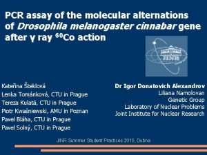 PCR assay of the molecular alternations of Drosophila