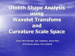 Otolith Shape Analysis using Wavelet Transfoms and Curvature