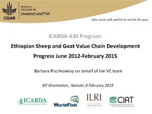 ICARDAILRI Program Ethiopian Sheep and Goat Value Chain