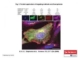Fluorescence recovery after photobleaching
