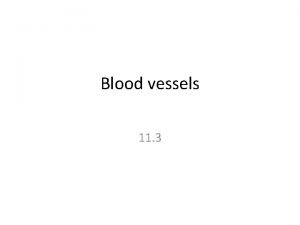 Blood vessels 11 3 Arteries The blood from