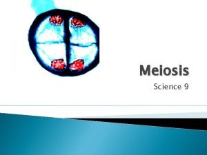 Function of meiosis