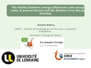 The duality between exergy efficiencies and exergy costs