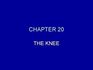 CHAPTER 20 THE KNEE ANATOMY OF THE KNEE