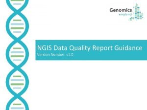 NGIS Data Quality Report Guidance Version Number v