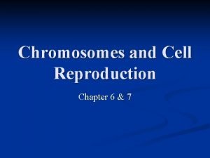 Chapter 6 chromosomes and cell reproduction