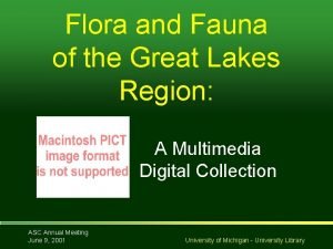 Flora and Fauna of the Great Lakes Region