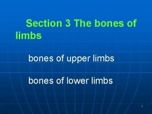 Section 3 The bones of limbs bones of