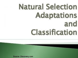 Adaptations and classification