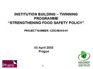 INSTITUTION BUILDING TWINNING PROGRAMME STRENGTHENING FOOD SAFETY POLICY