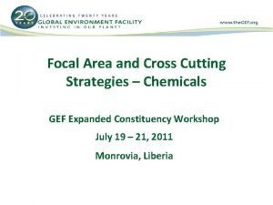 Focal Area and Cross Cutting Strategies Chemicals GEF